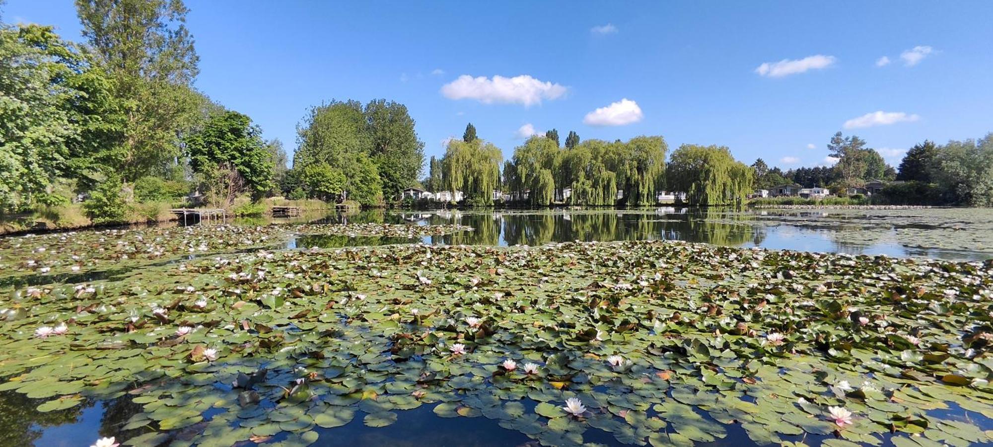 Billing Aquadrome Northampton, Royale Poplar Km12 Lejlighed Eksteriør billede